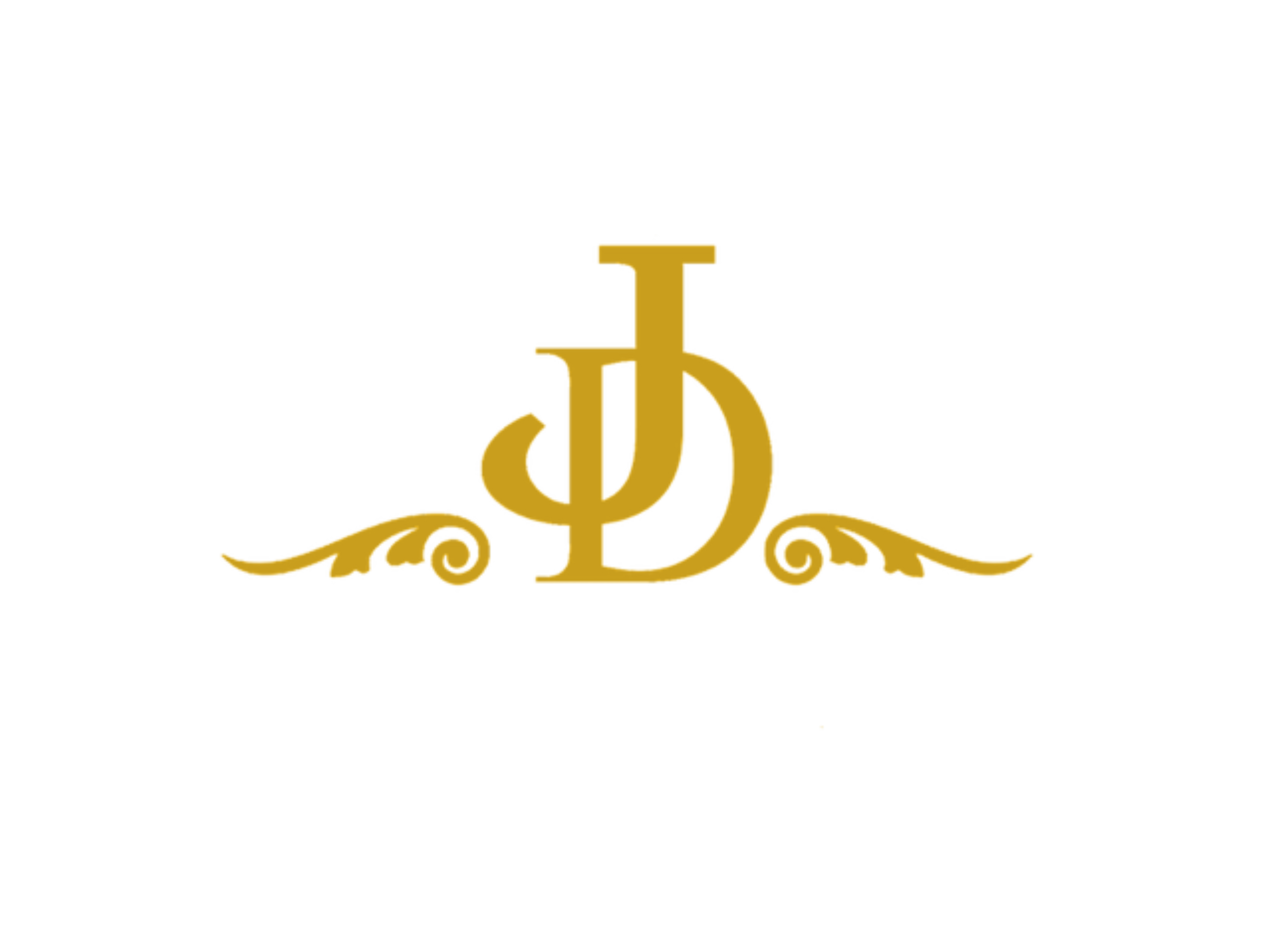 Johnny Dang & Co. Official Apparel